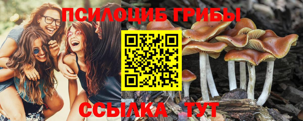 Барнаул  Галлюциногенные грибы мухоморы  Вход с VPN 