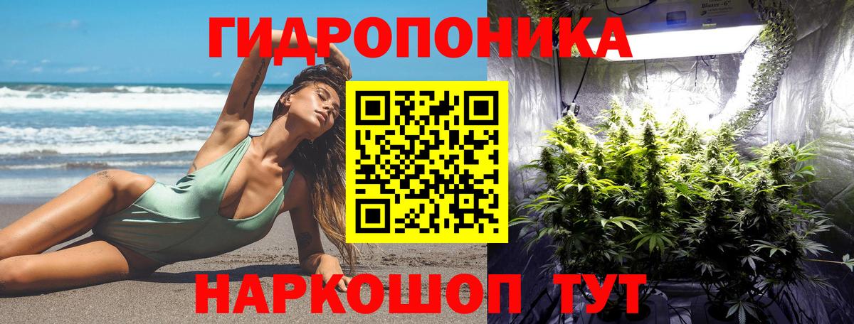 МАРИХУАНА гибрид Барнаул